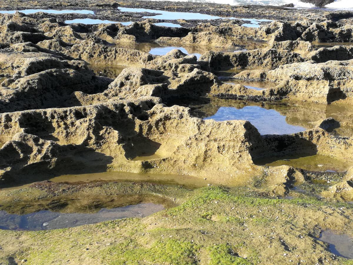 Wilderness Ocean Ξενοδοχείο Εξωτερικό φωτογραφία